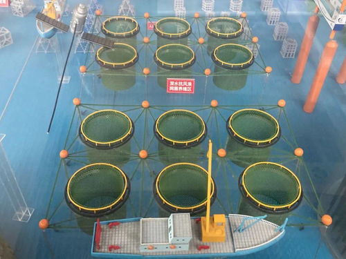 黄海水产研究所 74年先后育成15个水产新品种,新增产值超100亿元 多次改写中国水产育种史