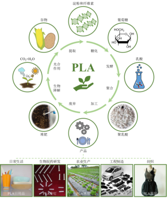丁建勋 李鸿杰 杨佳臻(中国科学院长春应用化学研究所):新时代生物质降解材料聚乳酸,助力绿色环保的“未来之钥”_作品展示